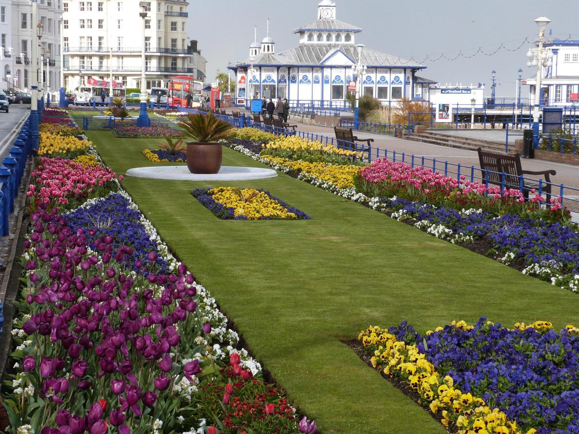 The Cherry Tree Guest House Eastbourne Exteriör bild