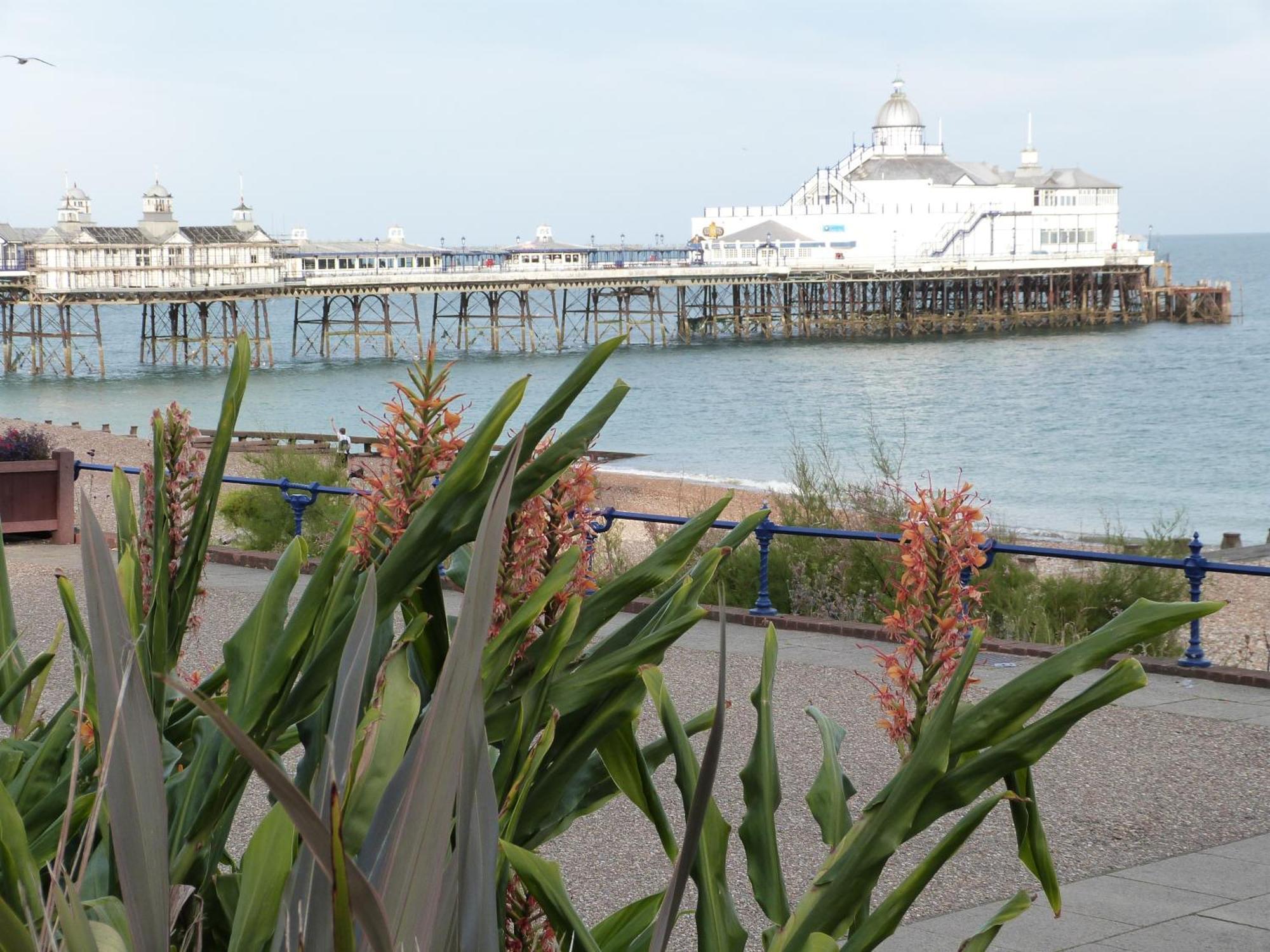The Cherry Tree Guest House Eastbourne Exteriör bild
